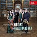 Mozart: Hornové koncerty - 2 CD