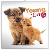 Kalendář poznámkový 2020 - Young Love, 30 × 30 cm