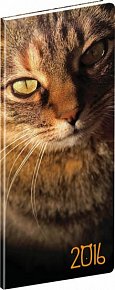 Diář 2016 - Kočky - kapesní plánovací měsíční,  8 x 18 cm