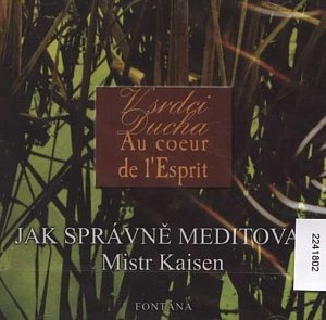 Jak správně meditovat - CD, 1.  vydání