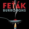 Feťák - CDmp3 (Čte Jan Kolařík)
