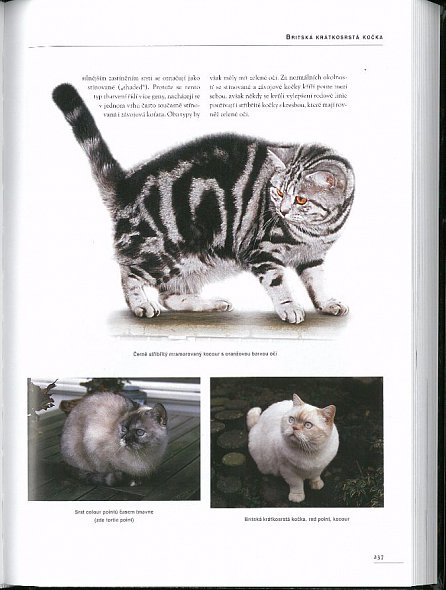 Náhled Kočky - Velký atlas plemen