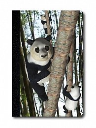 Zápisník - Úžaska - Šplhající pandy