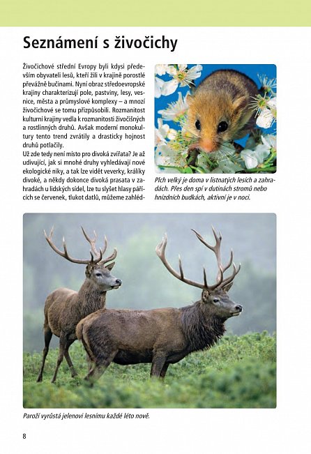 Náhled Atlas živočichů - 1000 živočichů střední Evropy