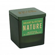 Svíčka 80g NATURE Borovice & cedrové dřevo