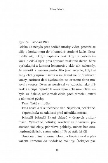 Náhled Hanina hvězda