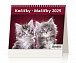 Kalendář stolní 2025 - MiniMax Kočičky / Mačičky