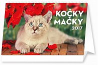 Kalendář stolní 2017 - Kočky CZ/SK