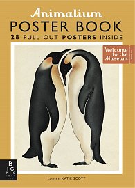 Animalium Poster Book (Welcome to the Museum)