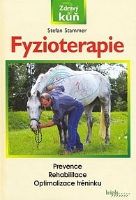 Fyzioterapie - zdravý kůň