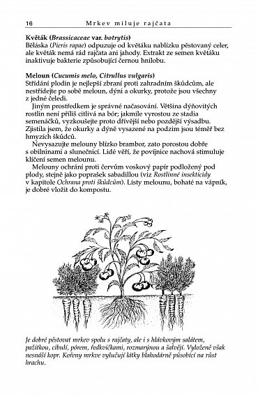 Náhled Mrkev miluje rajčata, 4.  vydání