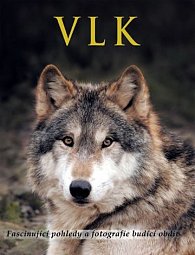 Vlk - Fascinující pohledy a fotografie budící obdiv