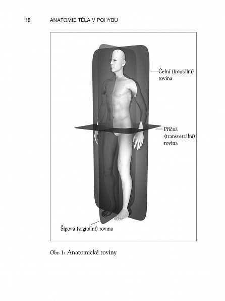 Náhled Anatomie těla v pohybu - Základní kurz anatomie kostí, svalů a kloubů