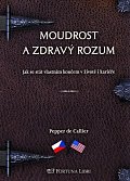 Moudrost a zdravý rozum - Jak se stát vlastním koučem v životě i kariéře / Common Sense Wisdom – Being Your Own Career and Life Coach