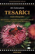 Tesaříci