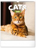 Kalendář 2023 nástěnný: Kočky, 30 × 34 cm