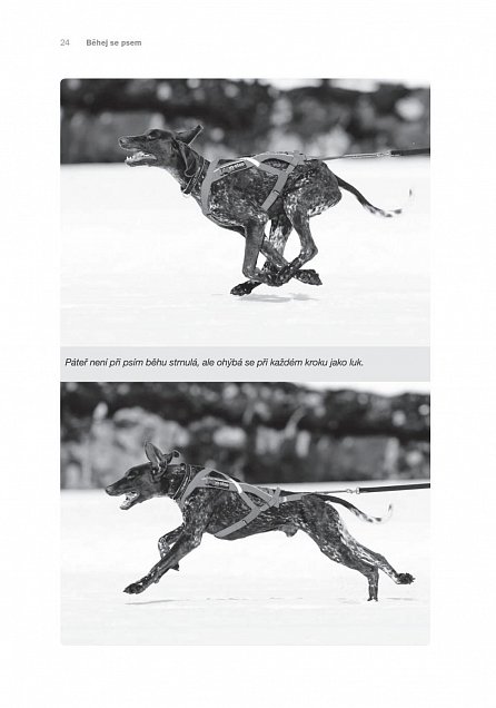 Náhled Běhej se psem - Kompletní průvodce světem společného běhání se psy