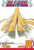 Bleach 36 (anglicky)