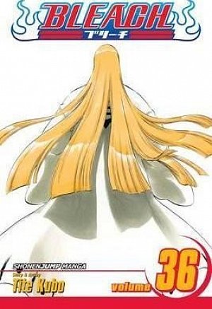 Bleach 36 (anglicky)