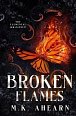 Broken Flames