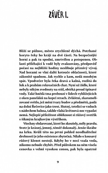 Náhled Před povodní