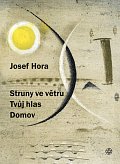 Struny ve větru, Tvůj hlas, Domov