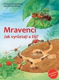 Mravenci - Jak vyrůstají a žijí?