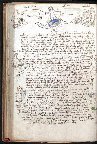 Náhled Voynichův rukopis - Nejzáhadnější kniha světa