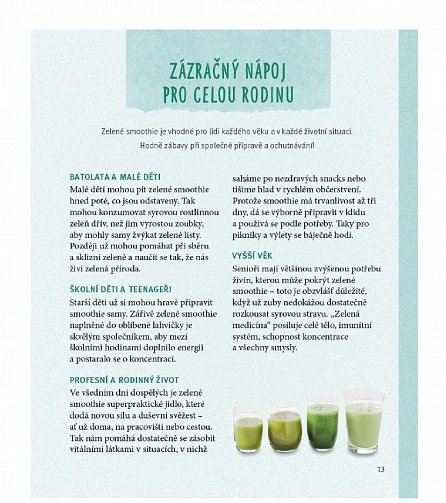Náhled Zelené smoothie - Zdravé mini-jídlo z mixéru