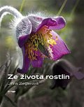 Ze života rostlin