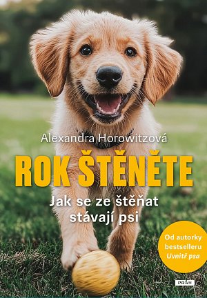 Rok štěněte - Jak se ze štěňat stávají psi
