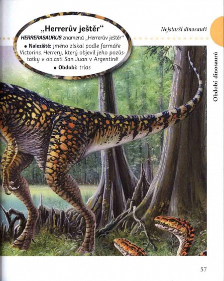 Náhled Dinosauři a fascinující pravěký svět