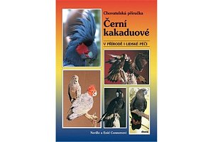 Černí kakaduové – v přírodě i lidské péči
