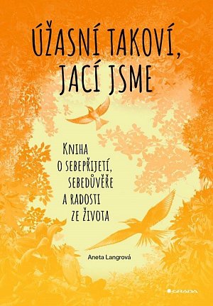 Úžasní takoví, jací jsme - Kniha o sebepřijetí, sebedůvěře a radosti ze života