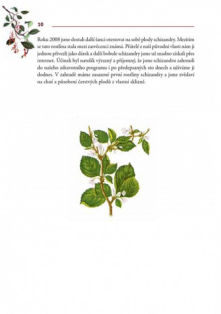 Náhled Schizandra - Plod pěti živlů. Léčivá rostlina s povzbuzujícími účinky pro dobré zdraví
