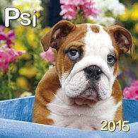 Psi - nástěnný kalendář 2015