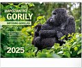 Kalendář 2025 nástěnný: Impozantní gorily, 48 × 33 cm
