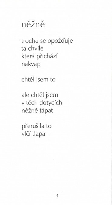 Náhled Vyženeš dveřmi stěhovavého ptáka, vrátí se oknem okřídlený šakal