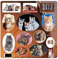 Domácí mazlíčci - Kočky - Magnetky na le