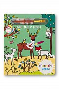 Kdo žije v lese? - Malování vodou