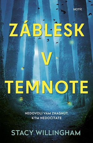 Záblesk v temnote