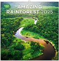 Kalendář 2025 poznámkový: Deštné pralesy, 30 × 30 cm