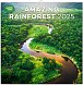 NOTIQUE Poznámkový kalendář Deštné pralesy 2025, 30 x 30 cm
