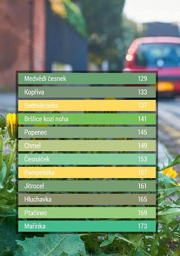 Náhled Jedlé město - Vyjděte do ulic! 36 zdraví prospěšných rostlin hned za humny a přes 100 receptů, díky nimž ušetříte a které vám udělají radost