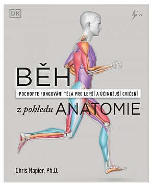 Běh z pohledu anatomie - Správná technika, prevence před zraněním, nastavení tréninku