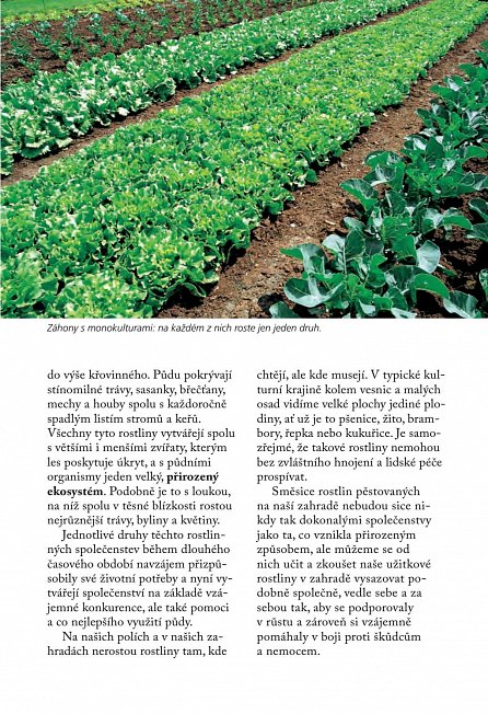 Náhled Kombinování rostlin - Smíšená kultura v praxi, 1.  vydání