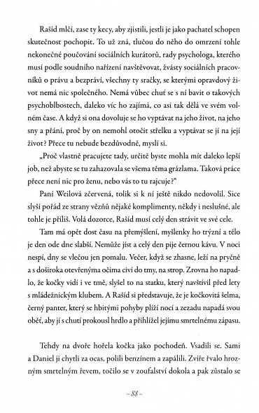 Náhled Arabboy - Jak se žije arabským chlapcům v Evropě aneb Krátký život Rašída A.