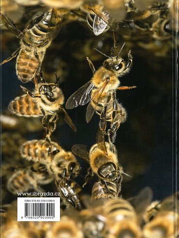 Náhled Včelařství