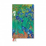 2025 FP 12 / Van Gogh’s Irises / Maxi / Horizontal