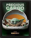 Obraz 3D Mandalorian Precious Cargo